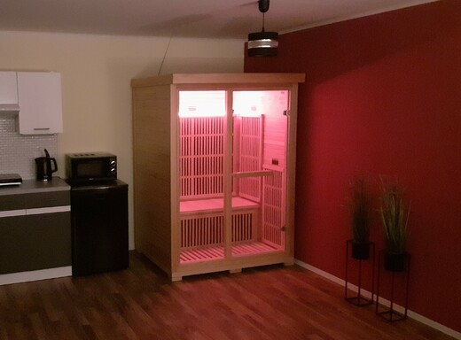 Infrasauna Wellness Puštík