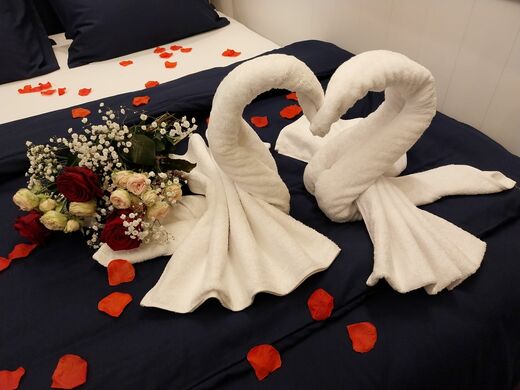 Romantické labutě na posteli.jpg