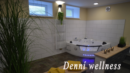 Wellness Puštík - denní wellness.jpg